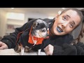 mr marbles being the definition of cute for ten minutes straight // jenna marbles compilation