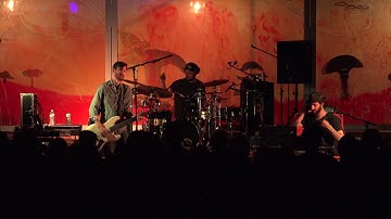 Octave Cat - 4K - 06.01.17 - Beardfest 2017 - Full Set