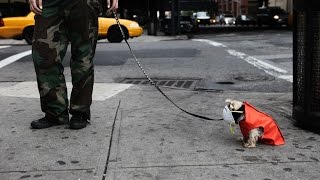 Trailer Seewatchlook - O Que Você Vê Quando Você Olha O Que Enxerga?