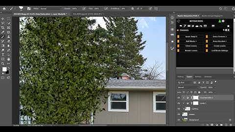 Photoshop Tutorial : Create leaves on leafless trees