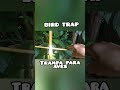 trampa para cualquier tipo de aves//bird trap