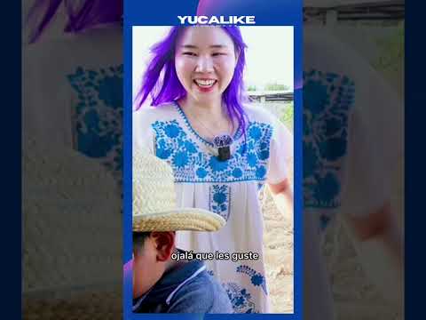 Chingu Amiga es