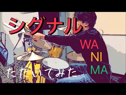 シグナル / WANIMA