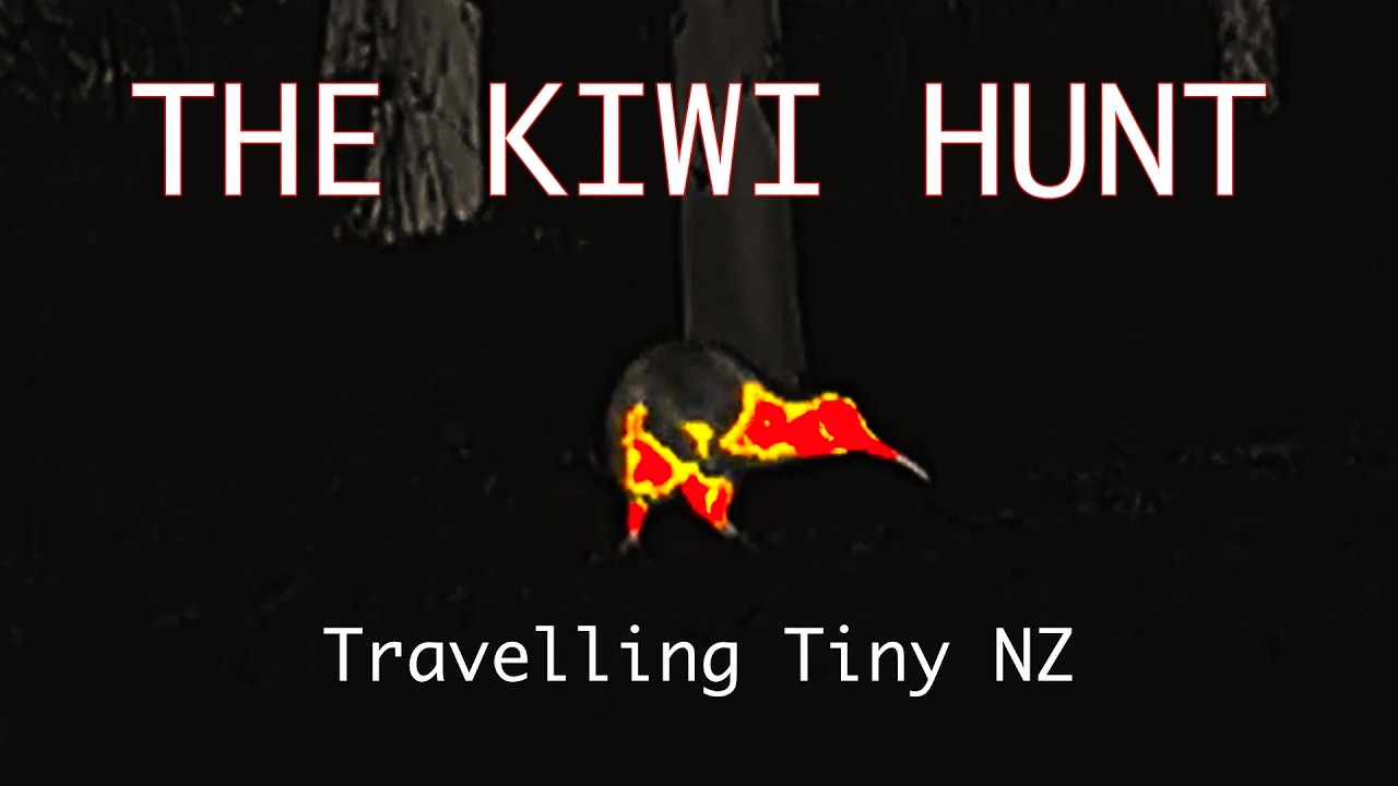 Остров Стюарт | Путешествие по крошечной Новой Зеландии: список обязательных к посещению мест или...