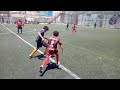 ZORROS VS POTROS