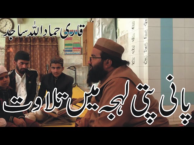 BEAUTIFUL RECITATION IN PANI PAT LEHJEH BY QARI HAMMAD ULLAH SAJIDپانی پتی لہجہ میں خوبصورت تلاوت class=