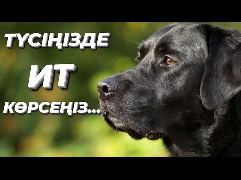 Бейне: Қабса египет тағамы ма?