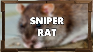The Sniper Rat screenshot 4