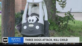 Three dogs attack, kill 1yearold child in North Texas
