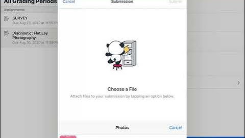 How to Turn in a Photo to Canvas from Your iPad or Phone