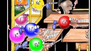 The Ionic Bond Song