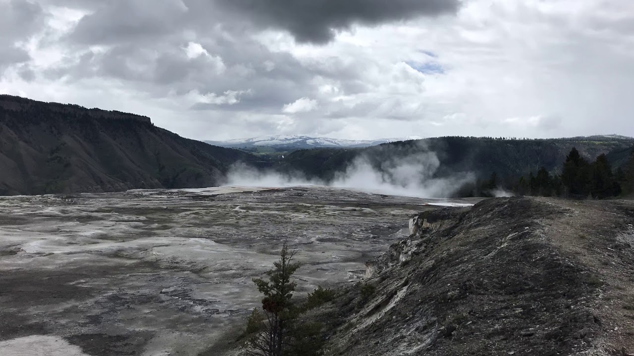 Yellow Stone National Park - 2019