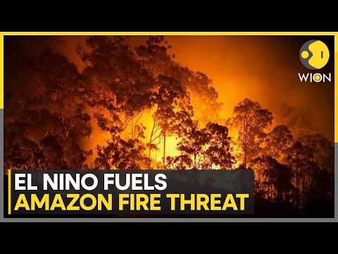 Smoke Clouds Brazil's Election Debate | WION News