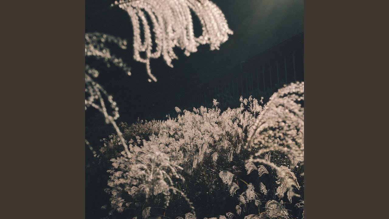 Obejrzyj Primitive w YouTube Obejrzyj Primitive w YouTube