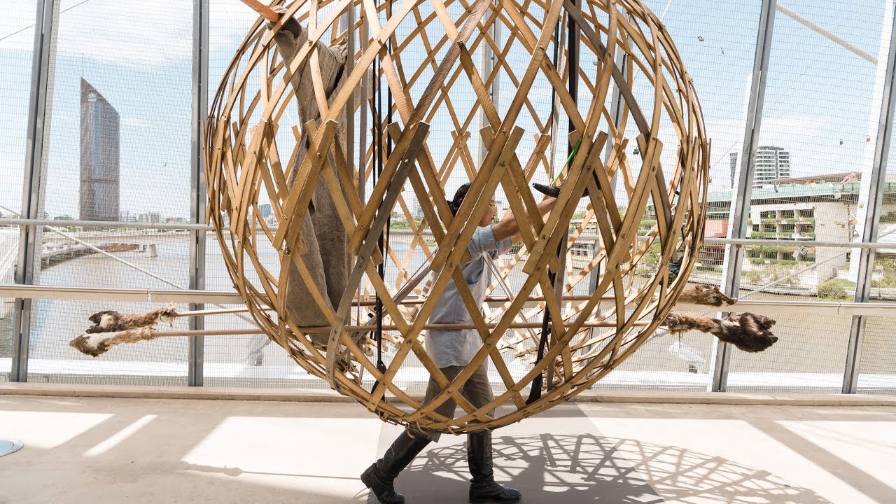 APT9 performance/ Enkhbold Togmidshiirev in Brisbane