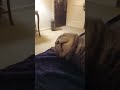 Sleepy Tuck man