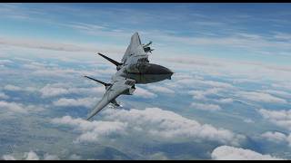 DCS F-14B(U) RIO - Basic CDNU Navigation and PGM Programming