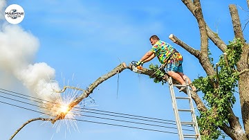 Idiots With Chainsaws: Tree Cutting Fails | Extreme Dangerous Logging Truck Fails #9