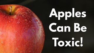 7 Interesting Facts About Apples
