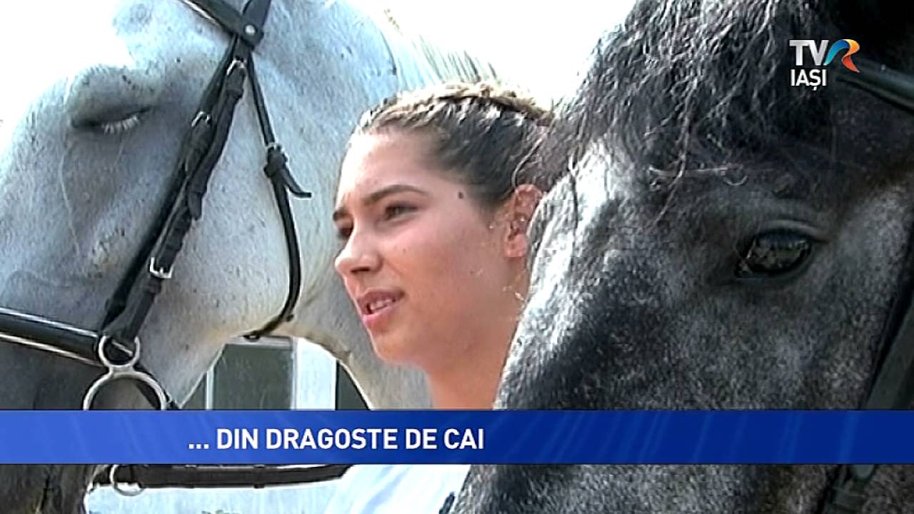 ...DIN DRAGOSTE PENTRU CAI tvri live