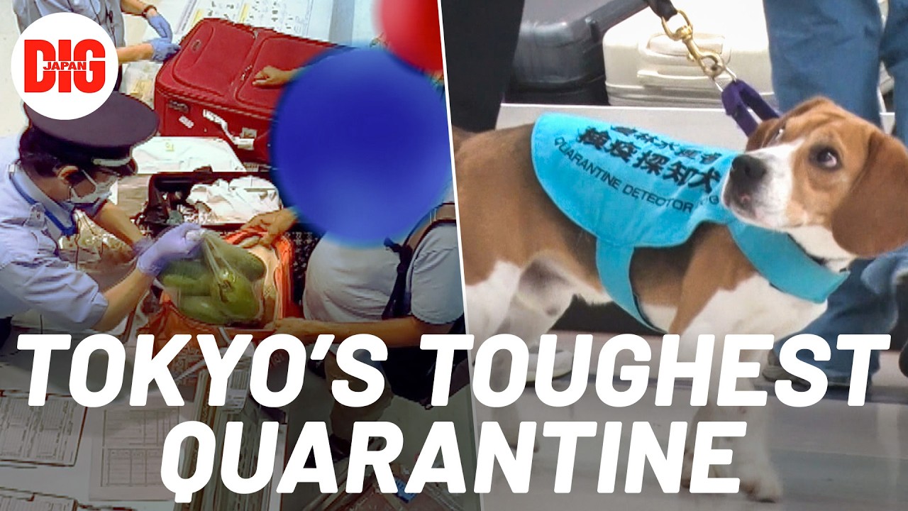 Haneda Airport Standoff: Travelers vs. Japan’s Strict Quarantine