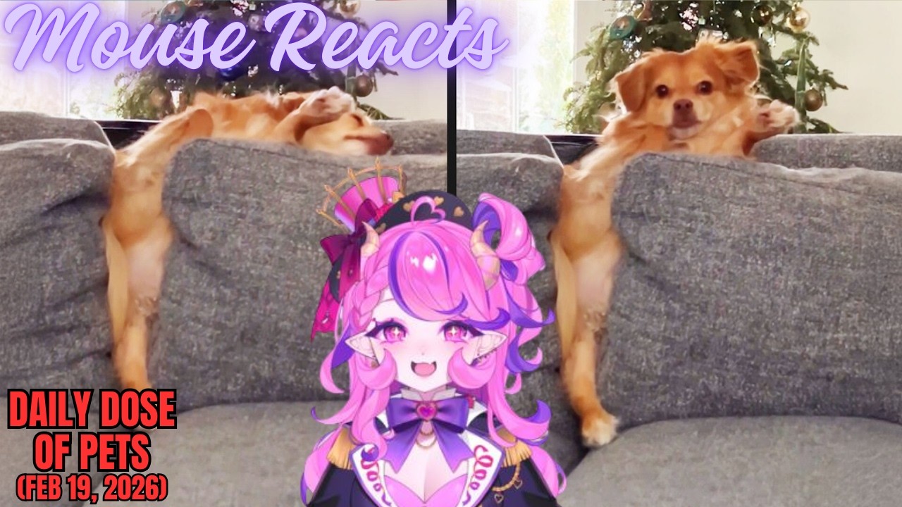 Mouse Reacts to Daily Dose of Pets: He Needed The Last Word (Feb 19, 2026)