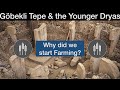 Gobekli Tepe &amp; the Younger Dryas: why did we start farming?