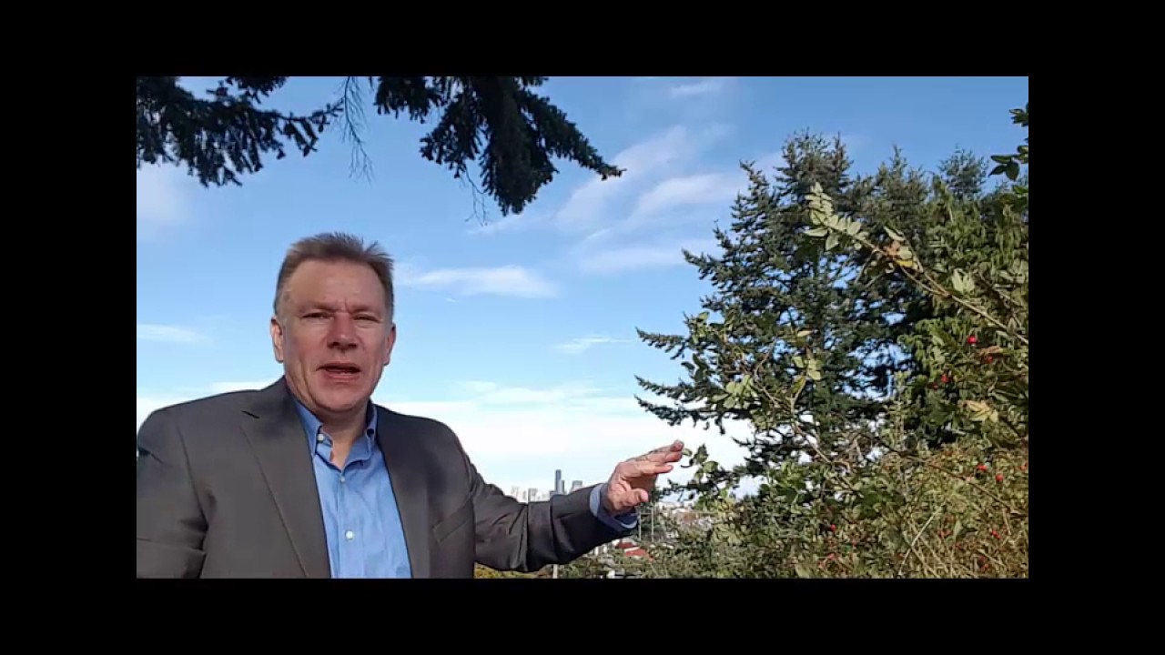 Beacon Hill real estate video YouTube