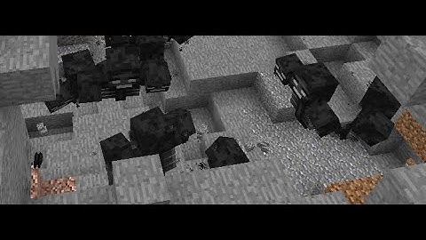 5b5t Withers be like