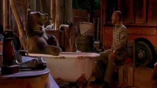 The Circuss Brown Bearsperformance Was So Embarring That The Audience Was Surprised