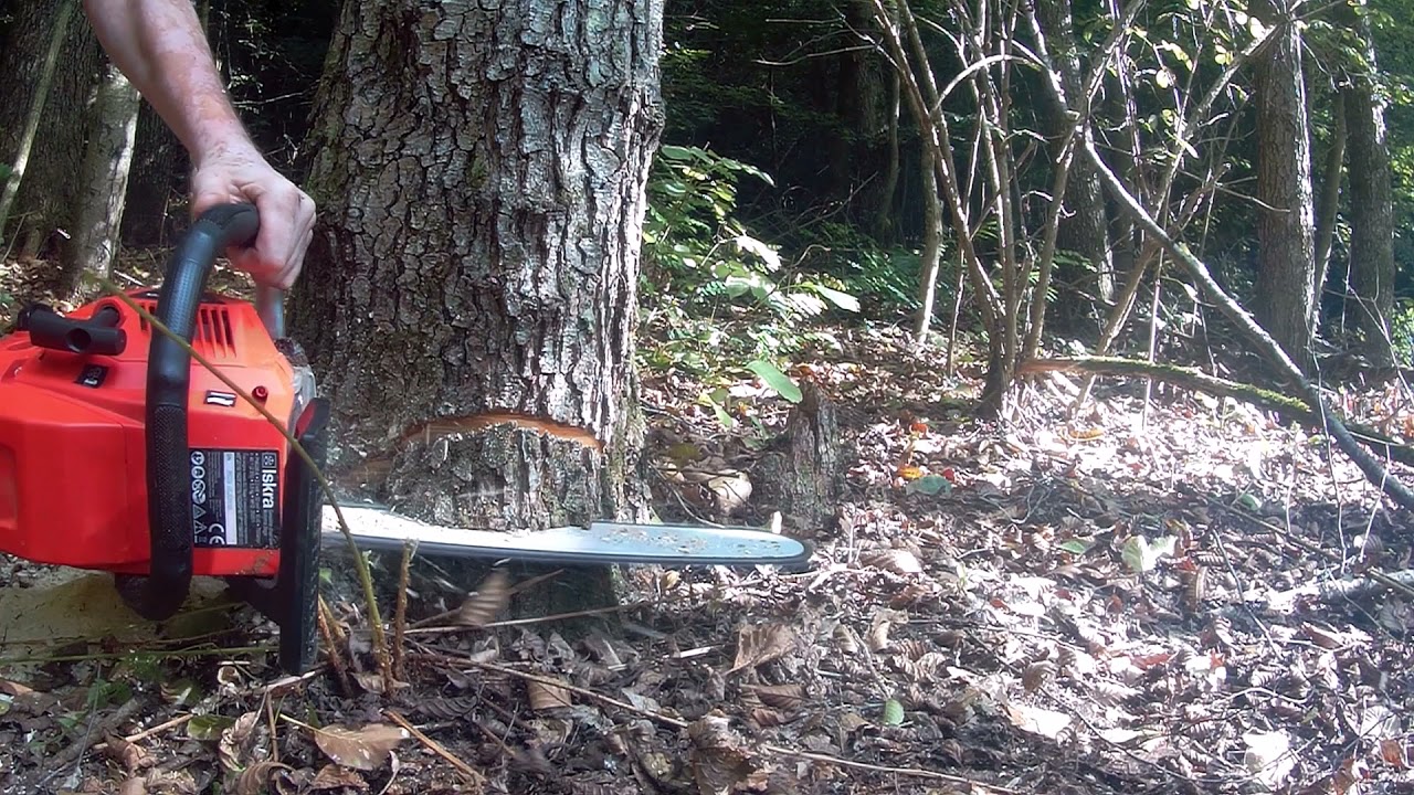 Jednostavno rušenje stabla