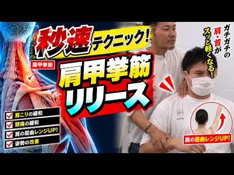 肩甲挙筋リリース（上肢の治療技術動画）