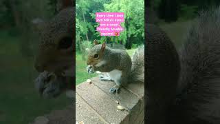 So lucky to have her a part of my life journey 🐿️💖
