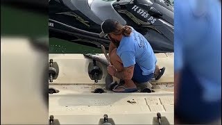 Rescuing A Pelican From Dangerous Trash