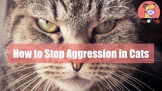 How to Stop Aggression in Cats