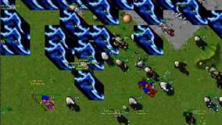 Tibia NOVA WAR