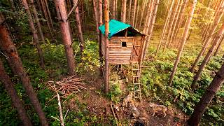 The Treehouse saved my life from the Wolves — Night in the forest and Roof repair