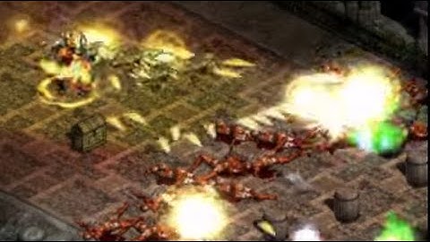 Median XL - Bow Amazon