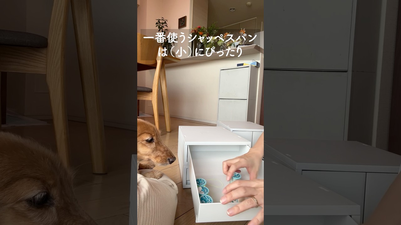 無印の収納ボックスが、ミシン糸にちょうど良くて気持ち良い〜！ - YouTube