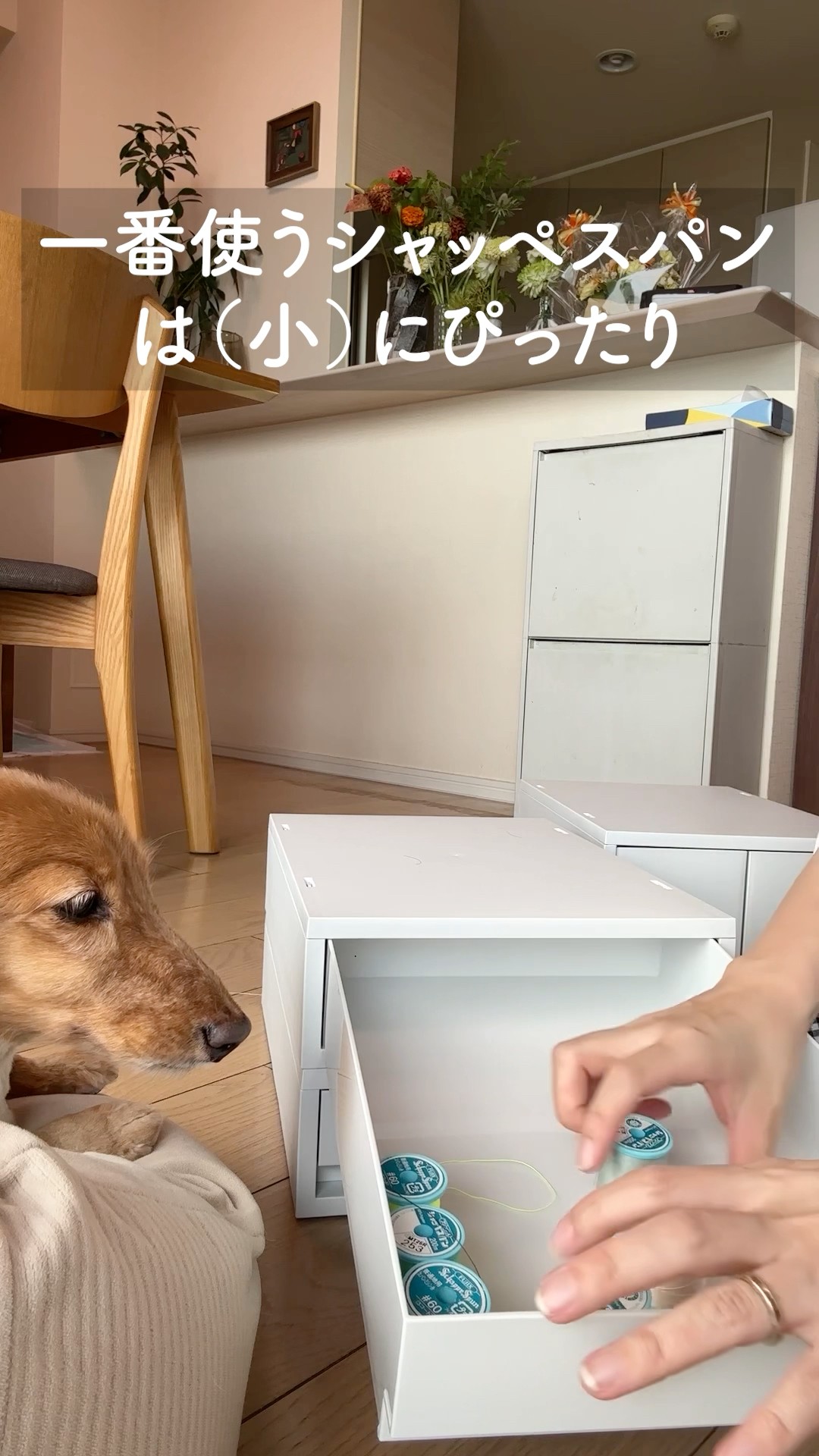 無印の収納ボックスが、ミシン糸にちょうど良くて気持ち良い〜！ - YouTube