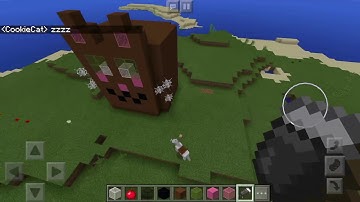 Building the cookiecat house (Minecraft)