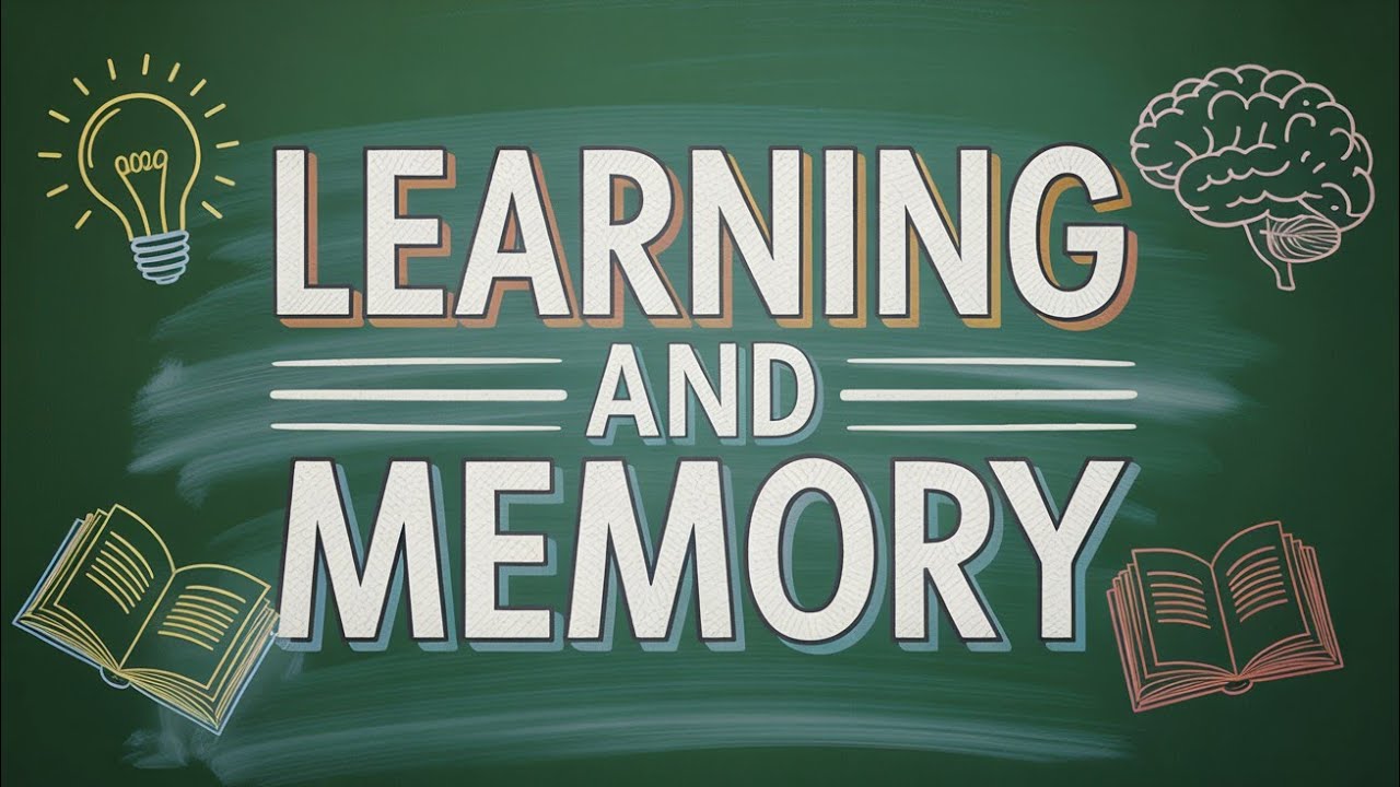 Chapter 5 | Learning and Memory in psychology | part 2 - YouTube