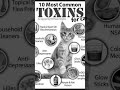 10 most common toxins for cats #cat #catfacts #shorts