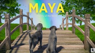 Gallery of the Week - The Maya Gallery