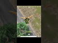 brother 🫡 #pubgm