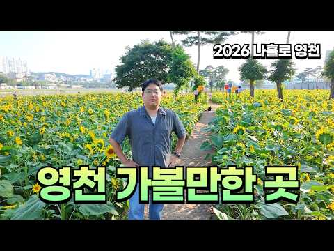 경북 영천시 여행사