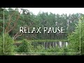 Релакс пауза. Лесное озеро. Лето. Сосны #relaxing #relax #relaxpause #природа #лес #озеро #сосны