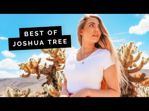 Βίντεο: Πώς να μεγαλώσετε ένα δέντρο Joshua: Φύτευση και φροντίδα για δέντρα Joshua