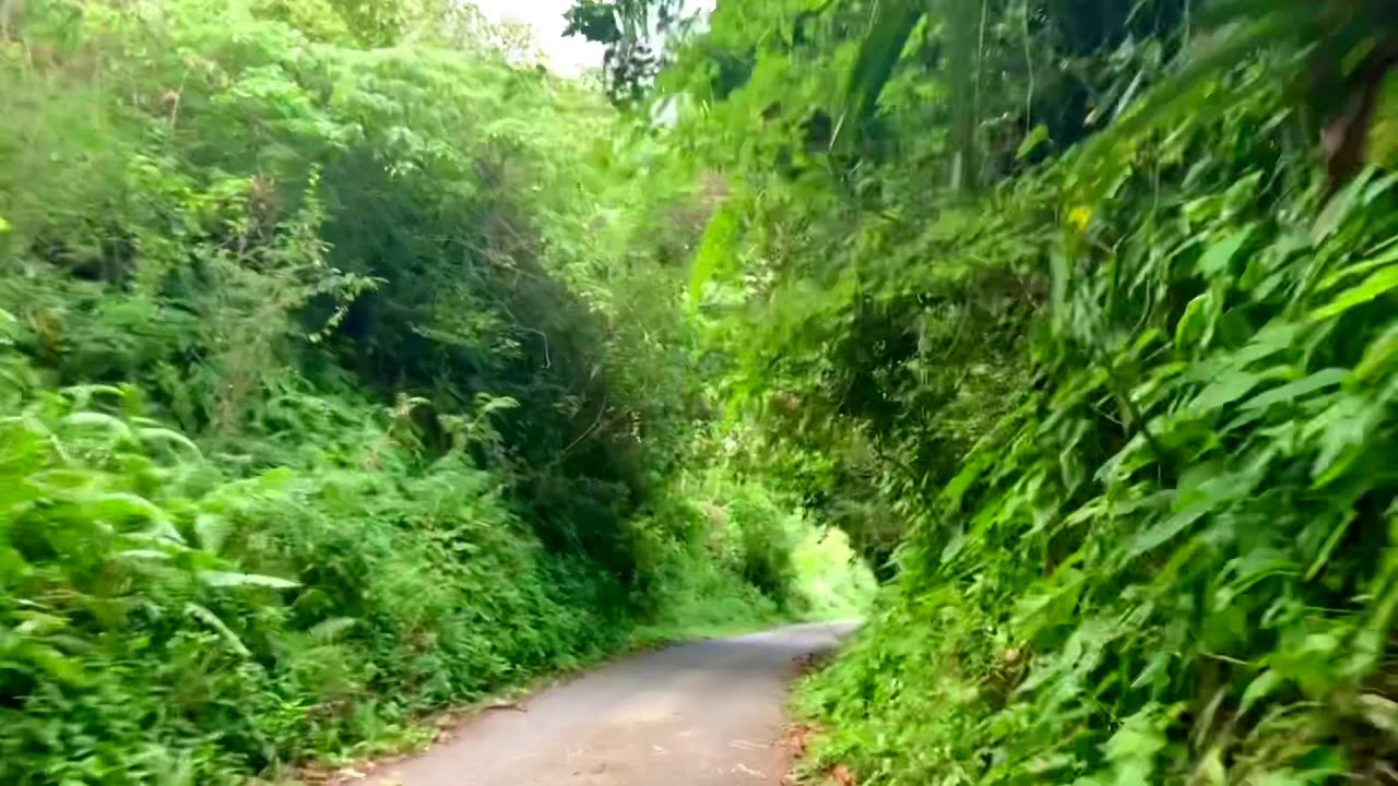 Rota, Northern Marianas Islands