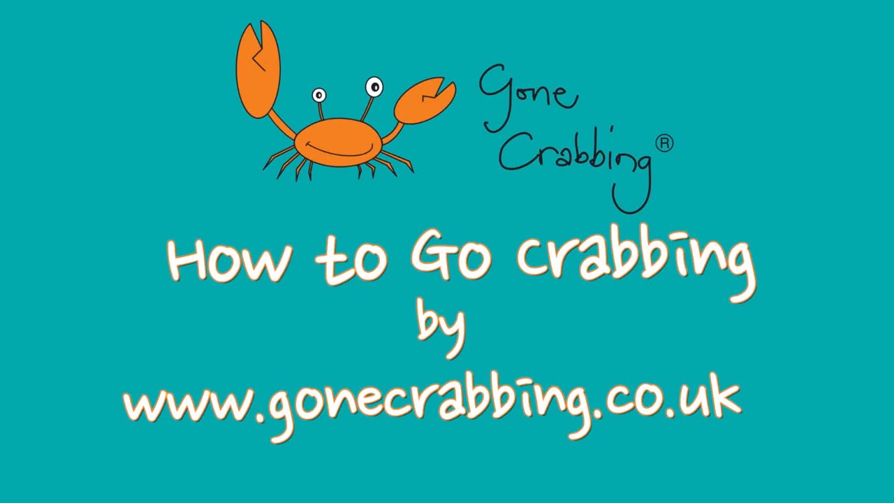 The Ultimate Guide to Crabbing in the UK - Rhubarb and Wren